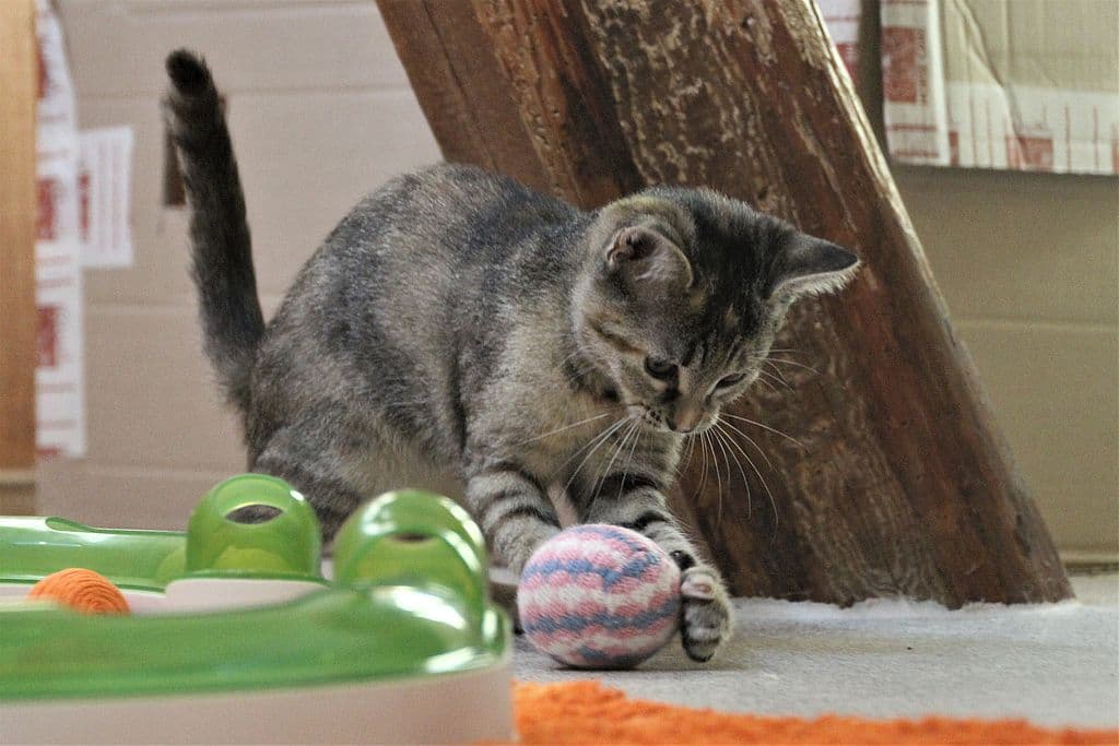 Fiona - - Bild 3