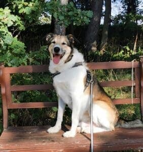 Carlos - - Bild 1