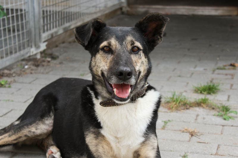 Tasco - - Bild 2
