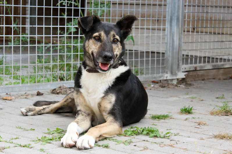 Tasco - - Bild 1