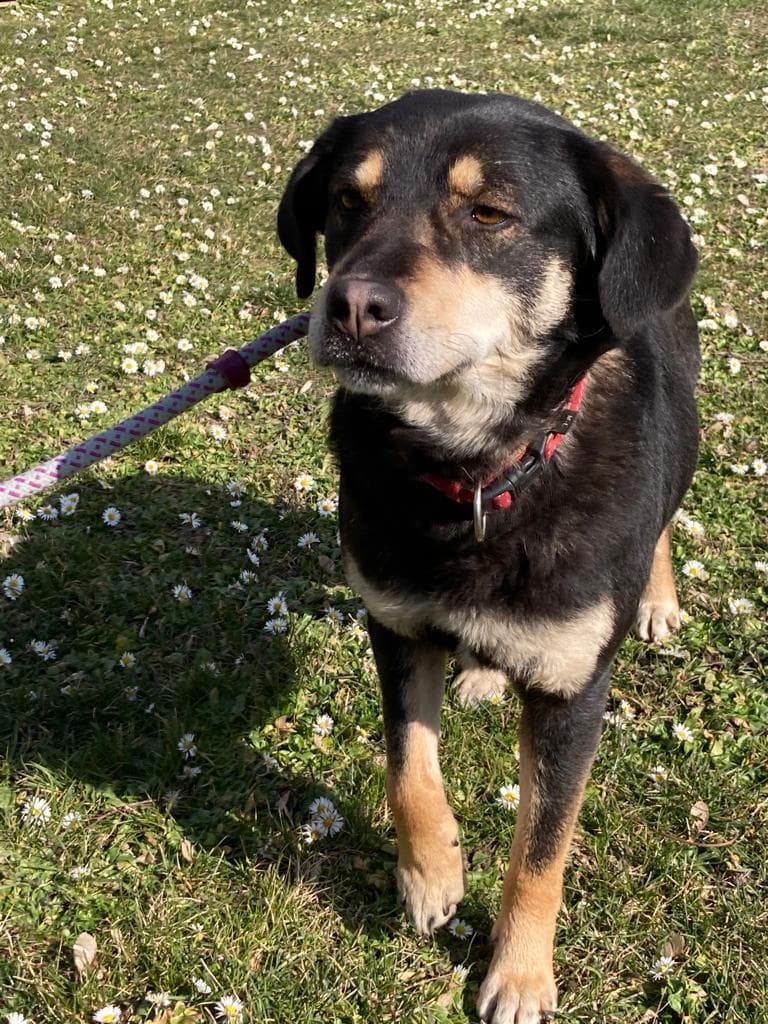 Diva - - Bild 3