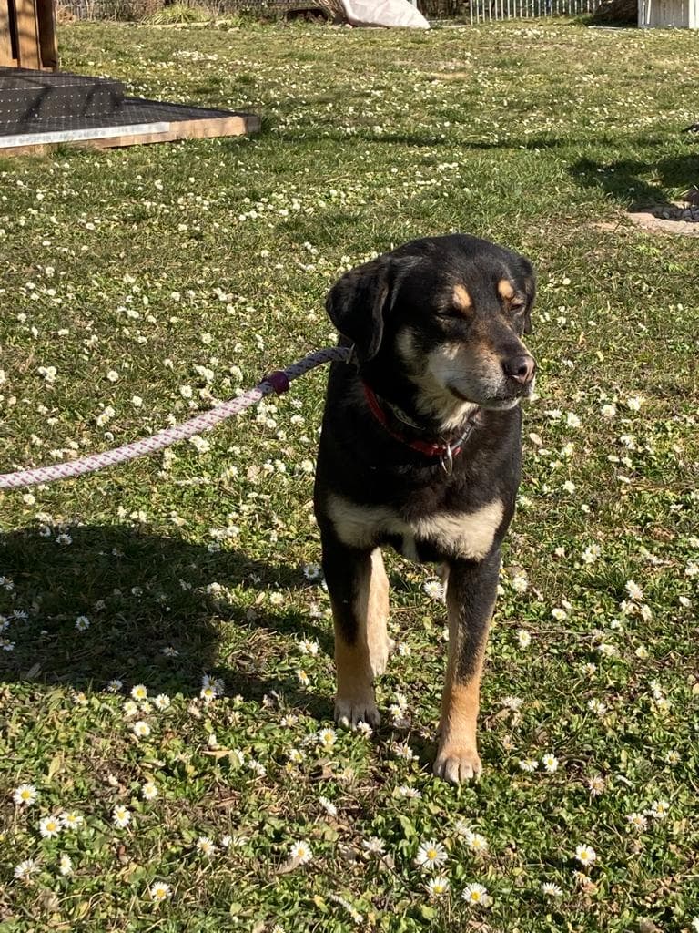 Diva - - Bild 4