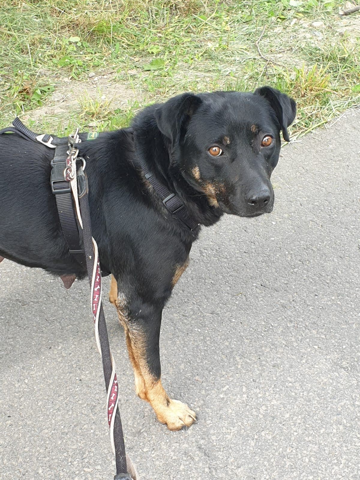Fenna - - Bild 2