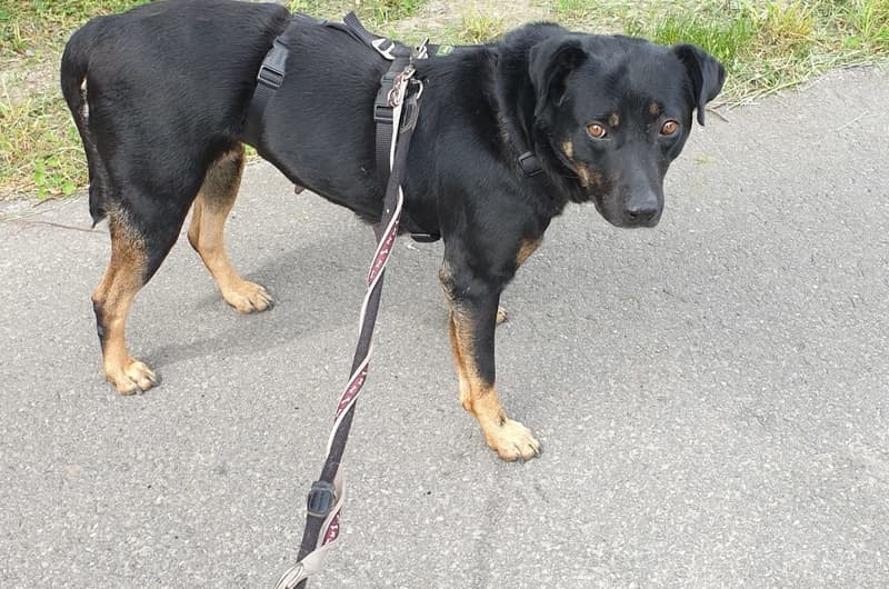 Fenna - - Bild 1