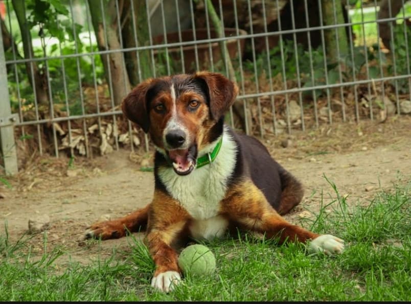 Frieda - - Bild 2