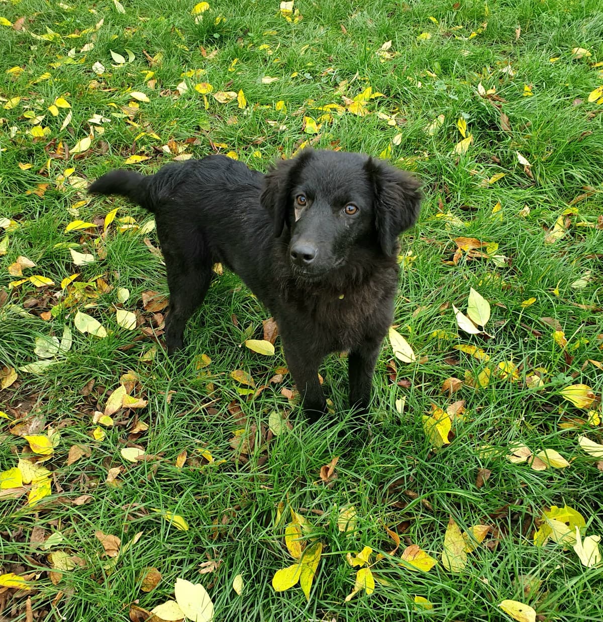 Noa - - Bild 2