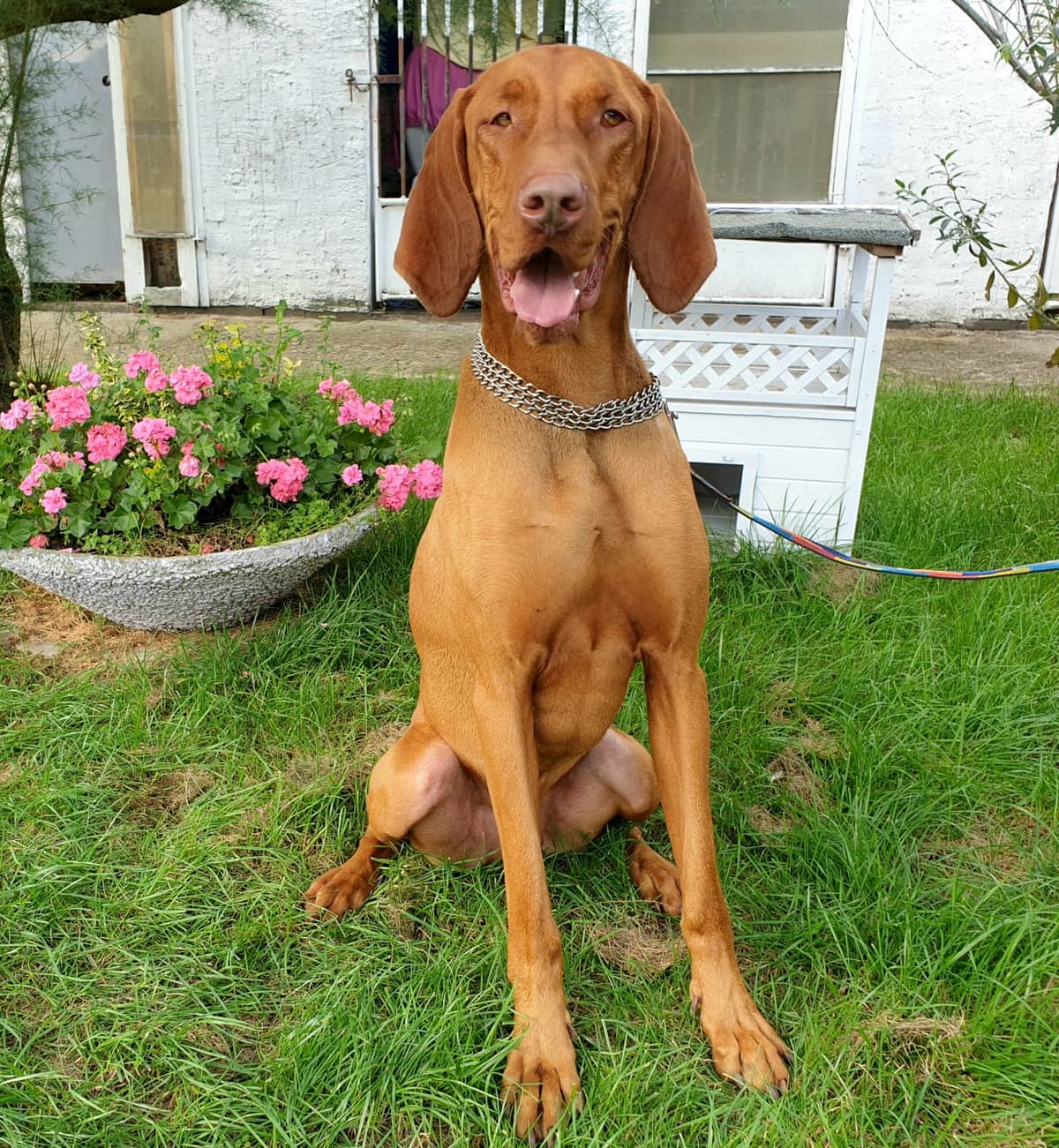 Rudy - - Bild 3
