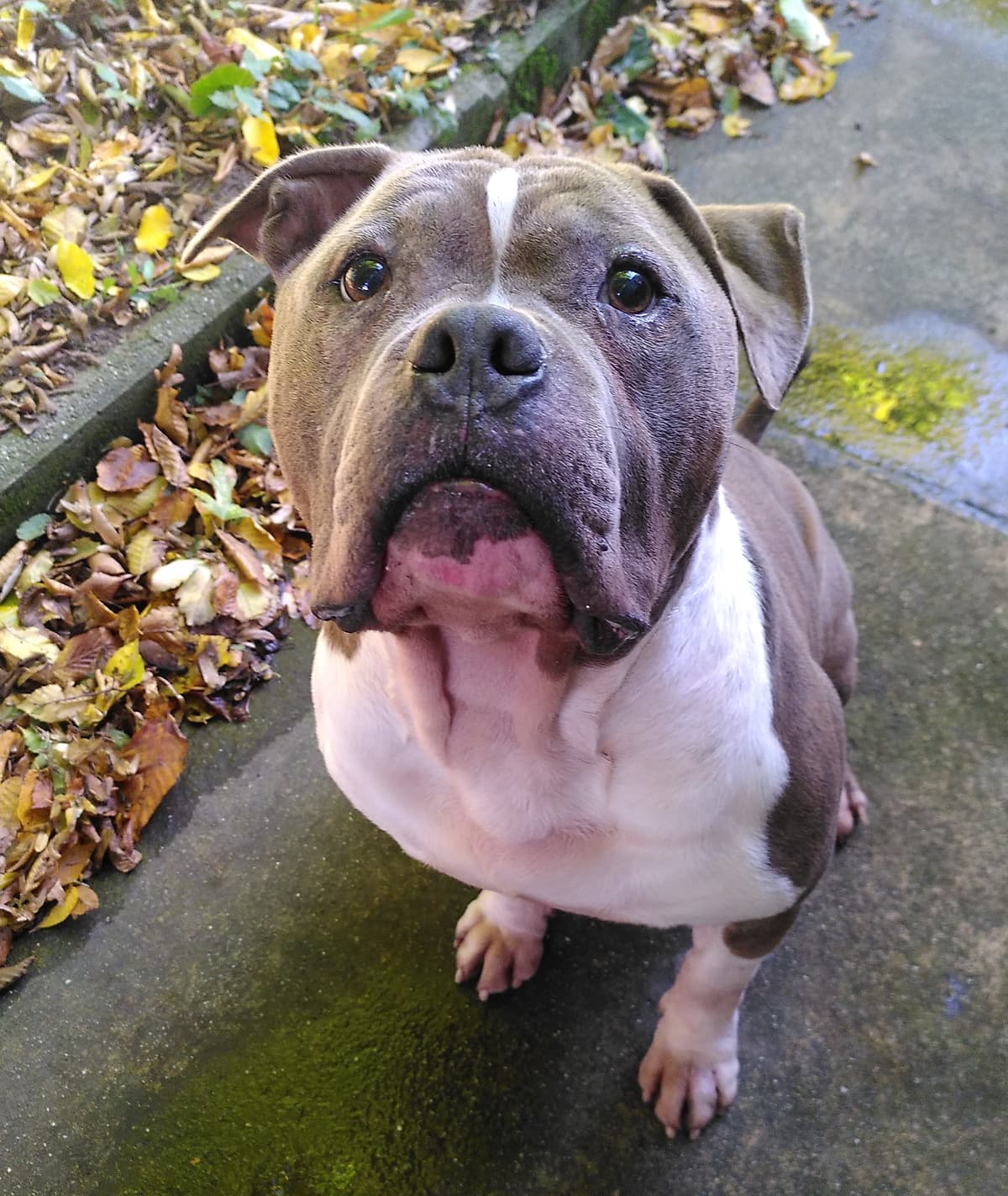 Eddie - - Bild 2