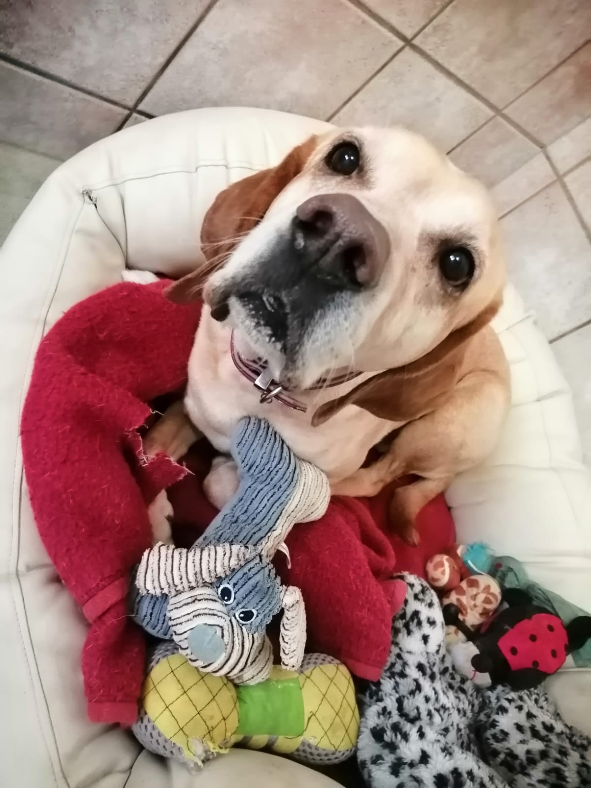 Matti - - Bild 2