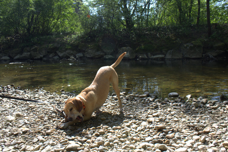 Matti - - Bild 6