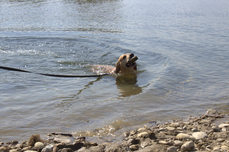 Matti - - Bild 7