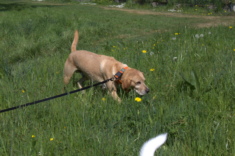 Matti - - Bild 9