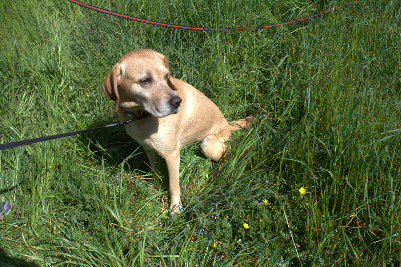 Matti - - Bild 10