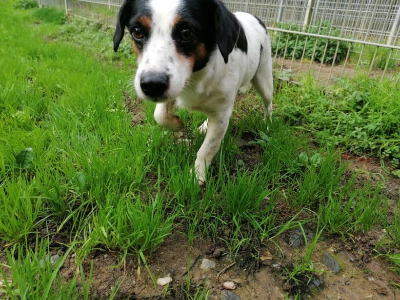 Casper - - Bild 2