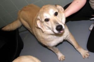 Annika Vogel - - Bild 5