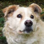 Wolfgang - - Bild 6