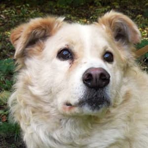Wolfgang - - Bild 5