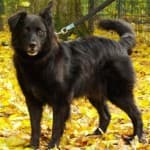 Wolfgang - - Bild 22