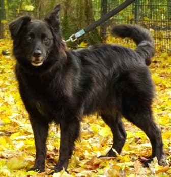 Wolfgang - - Bild 21