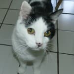 Wolfgang - - Bild 16