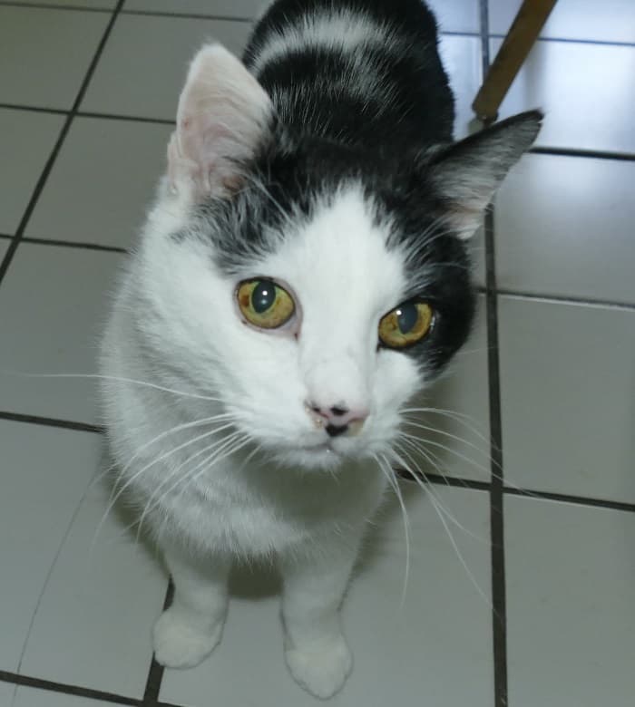 Wolfgang - - Bild 15
