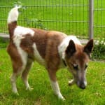 Wolfgang - - Bild 32