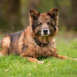Wolfgang - - Bild 18