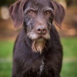 Wolfgang - - Bild 10