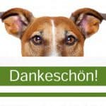 Alpha - - Bild 7