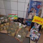 Alpha - - Bild 6
