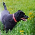 Wolfgang - - Bild 20