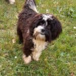 Bert - - Bild 11