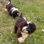 Bert - - Bild 9