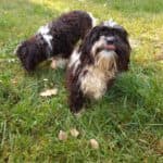 Bert - - Bild 13