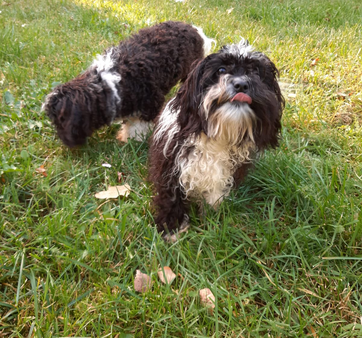 Bert - - Bild 12