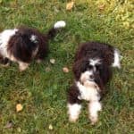 Bert - - Bild 7