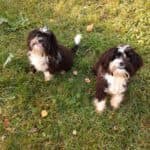 Bert - - Bild 3