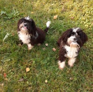 Bert - - Bild 1
