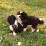 Bert - - Bild 5