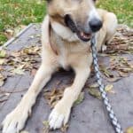 Tina - - Bild 5