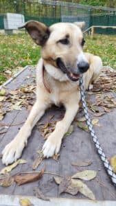 Tina - - Bild 1