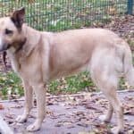 Tina - - Bild 3