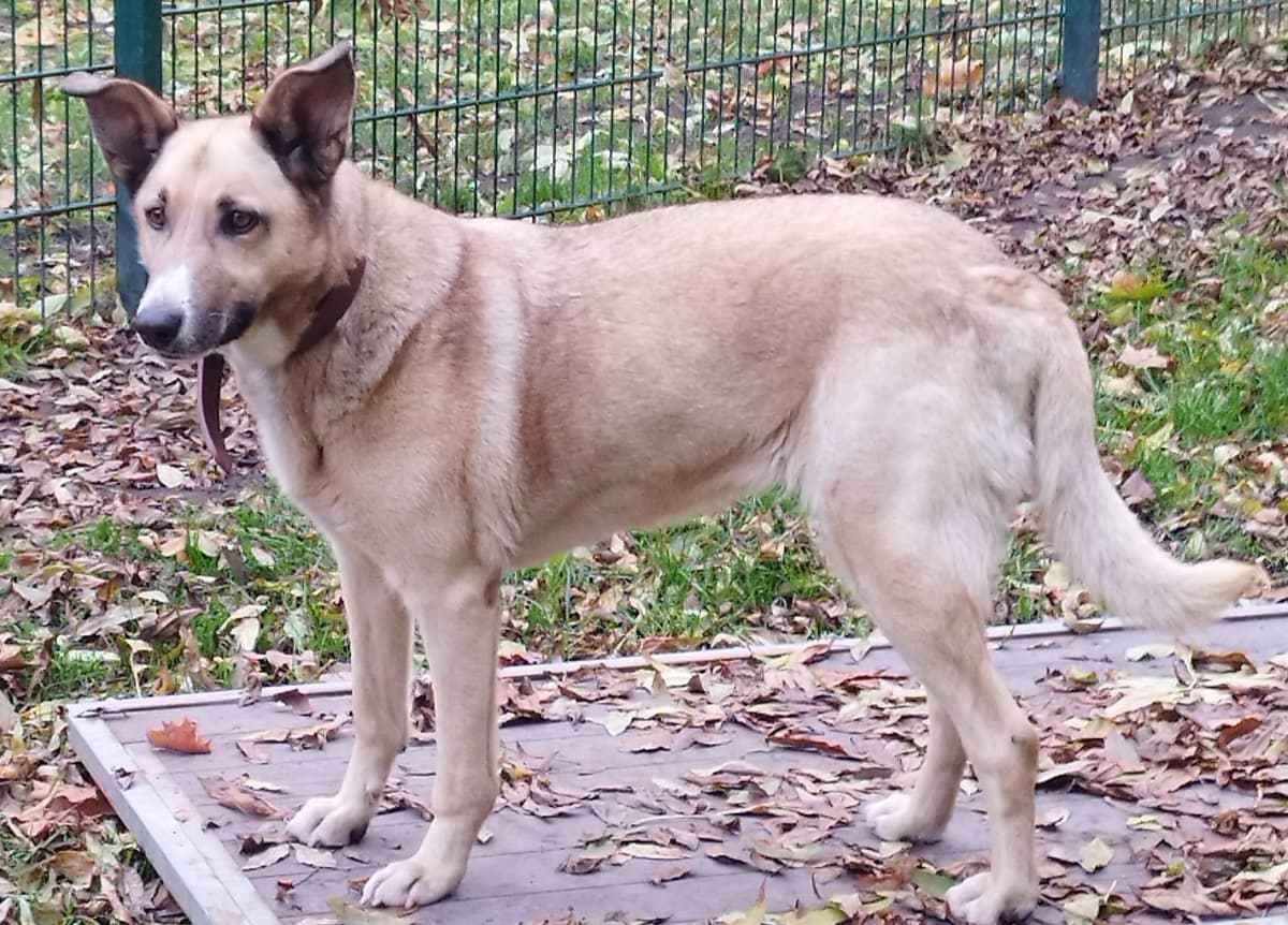 Tina - - Bild 2