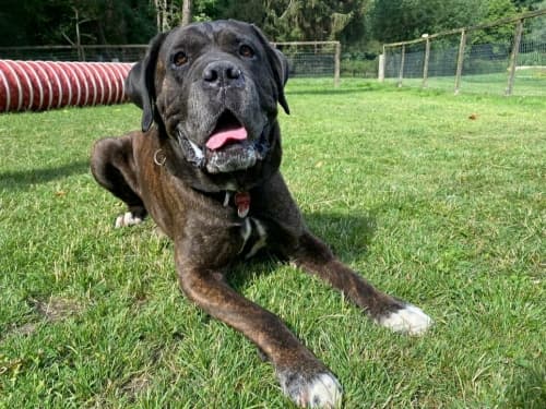 Fred - - Bild 1
