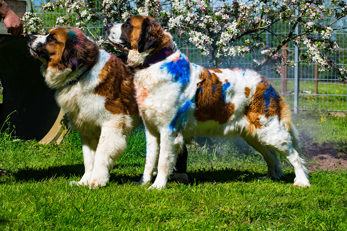 Max - - Bild 5