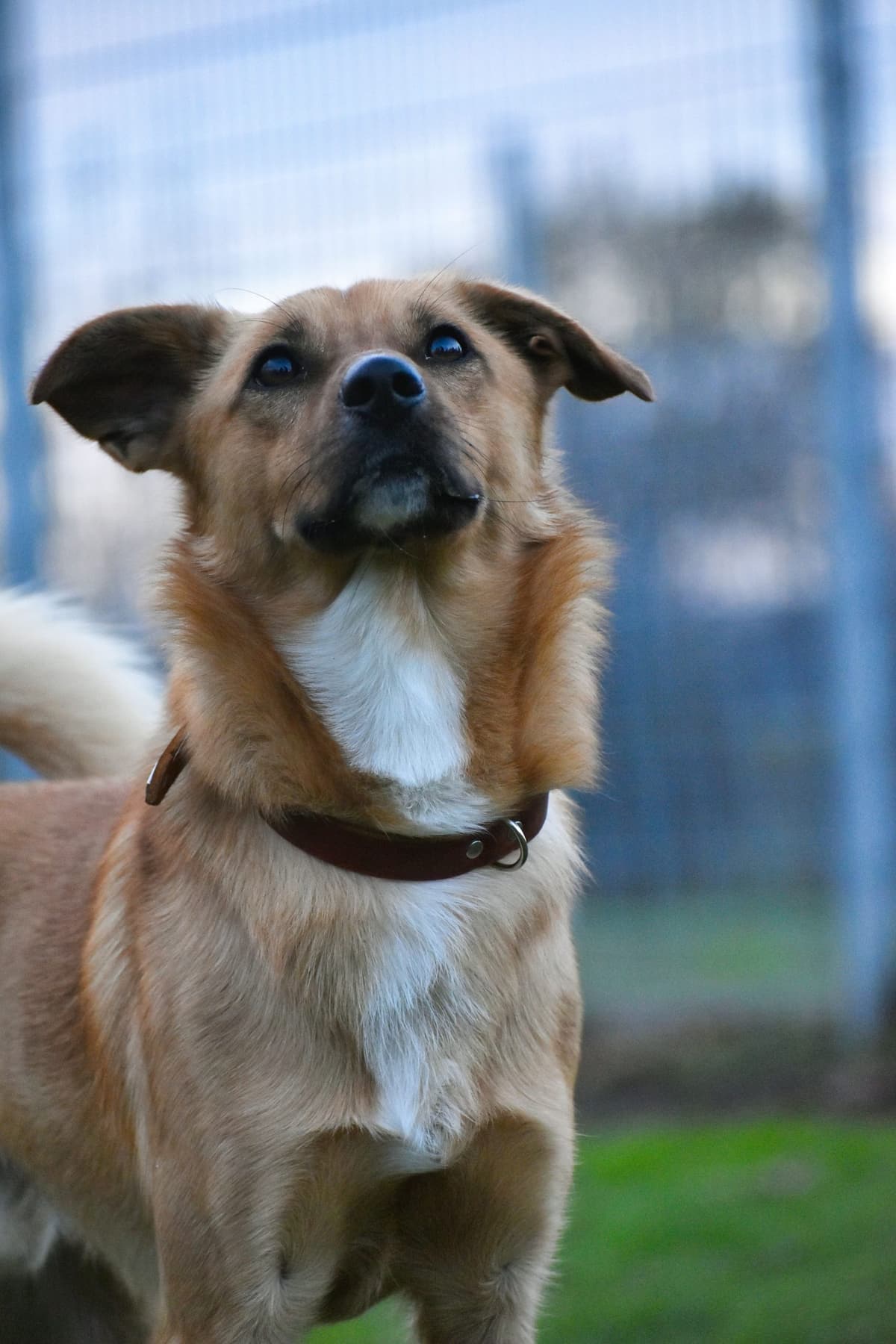 Pablo - - Bild 1