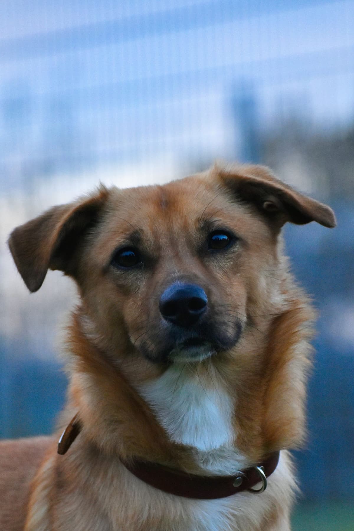 Pablo - - Bild 2