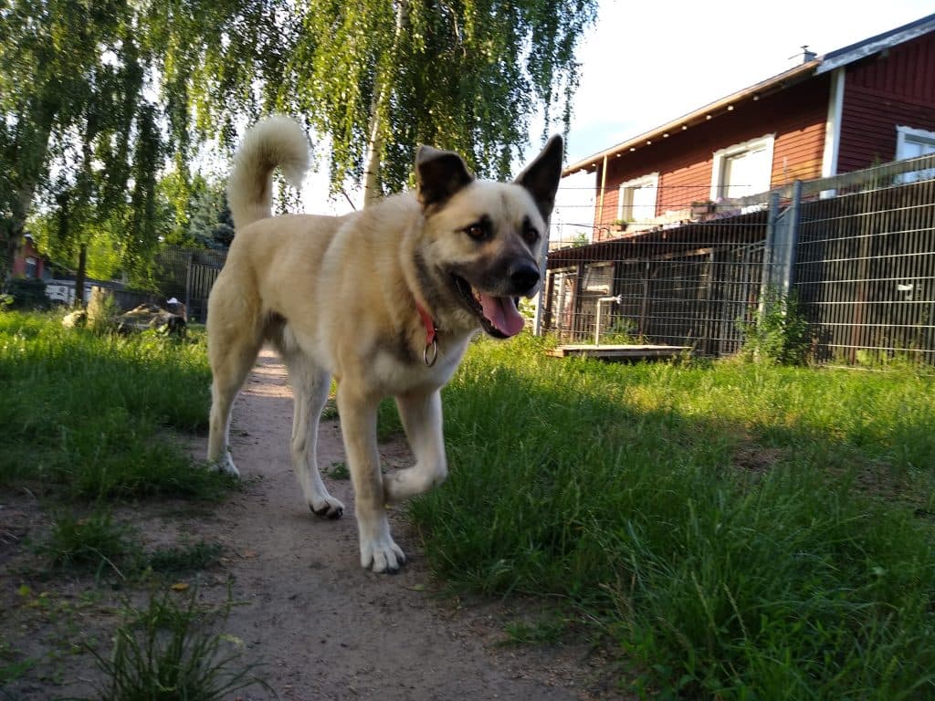 Isidor - - Bild 2