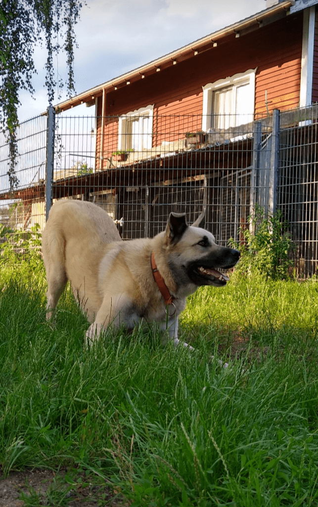 Isidor - - Bild 4