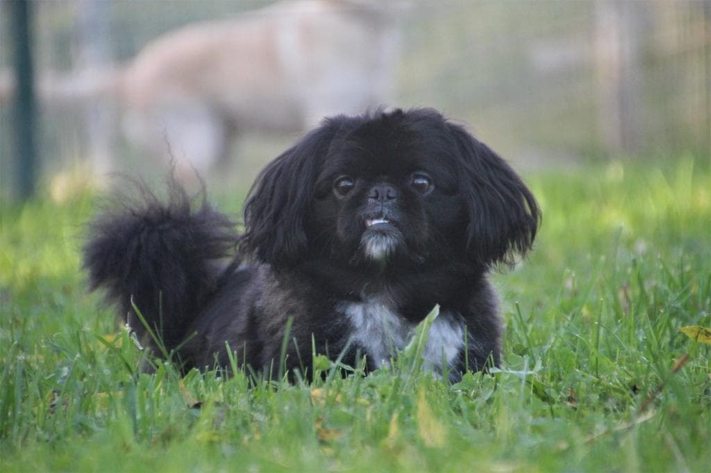 Timmy - - Bild 3